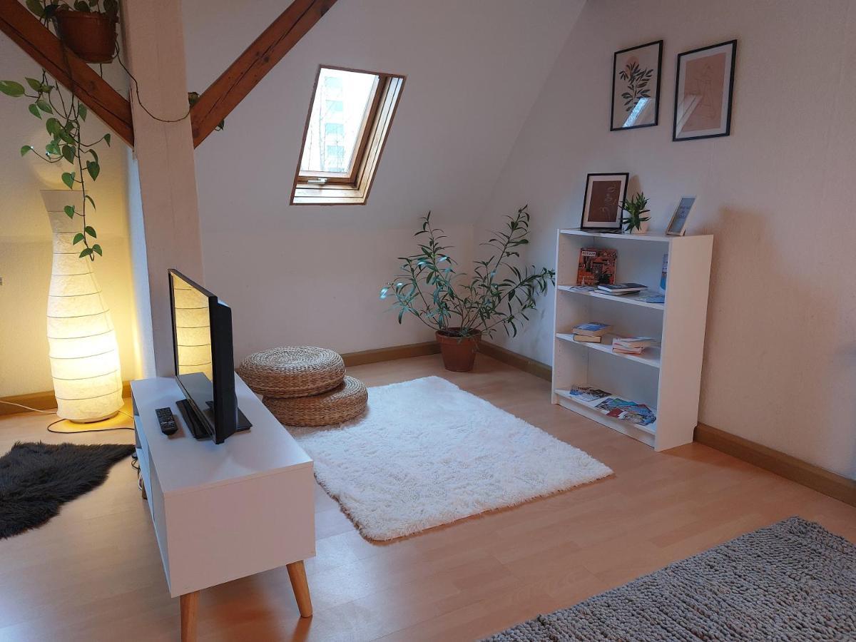 Ferienwohnung Am Salzsee Bad Windsheim Eksteriør bilde